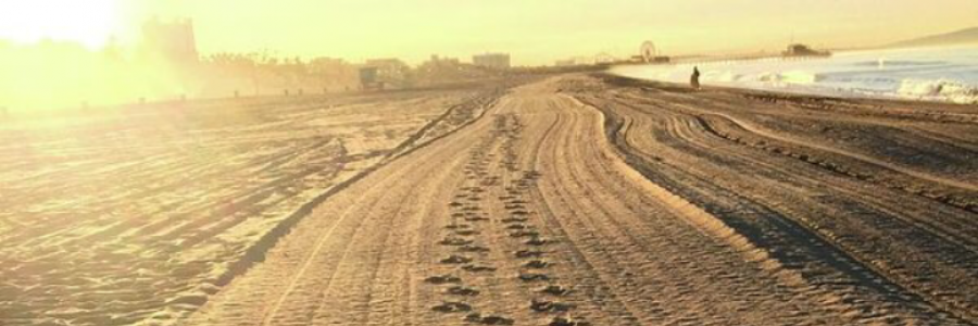 Cover image for post “Sister”, by xJenVanx