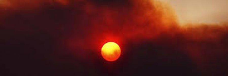 Cover image for post Hushed Humanity, by Jules123