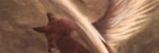 Cover image for post Puppets ?, by CharlieFox