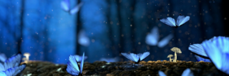 Cover image for post Color in Shades, by 2Bamboopanda