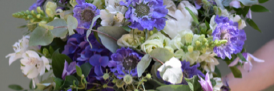 Cover image for post Indelible Ink, by Mazzmyrrheyes