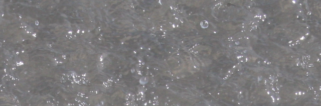 Cover image for post Tides, by MEsolushospes