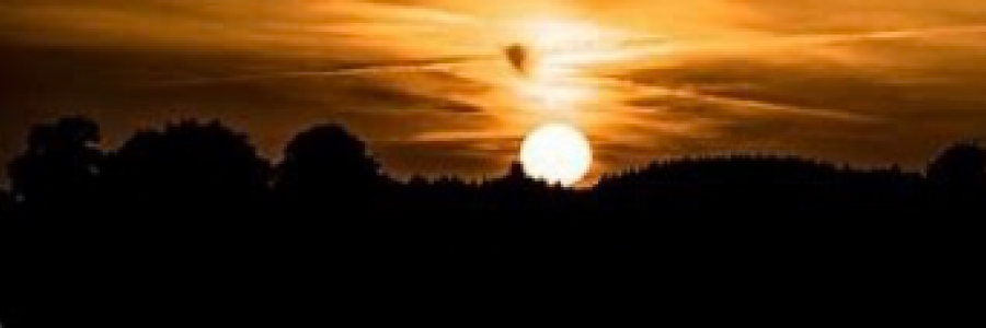 Cover image for post The Tattered Edge, by Mazzmyrrheyes