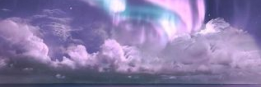 Cover image for post Purple on Tiptoes, by sandflea68