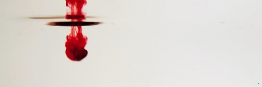 Cover image for post Pieces of Her, by Adamotaur