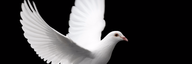 Cover image for post Independence, by lordnoctxrnal