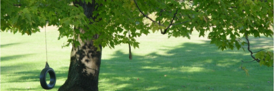 Cover image for post Unplugged and Alive, by WilliamLobb