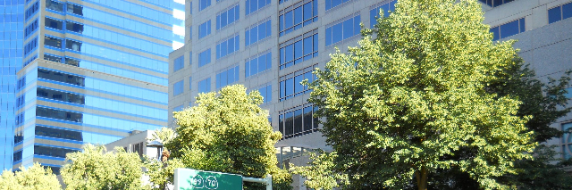 Cover image for post Many Leaves, by Schrieben_Wulf