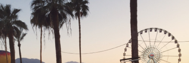 Cover image for post roots, by ka