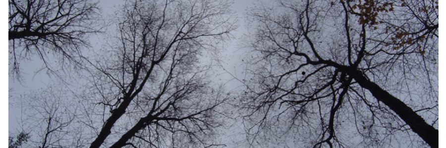 Cover image for post October, 1965, by WilliamLobb