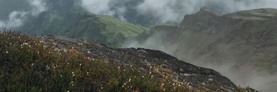 Cover image for post The Way, by northernlight