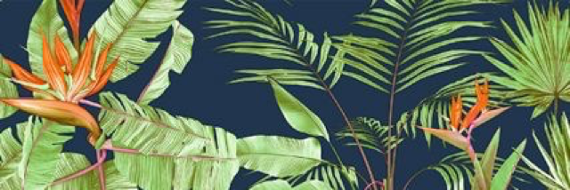 Cover image for post If Only I Weren't  a Tree, by Ashkashh___