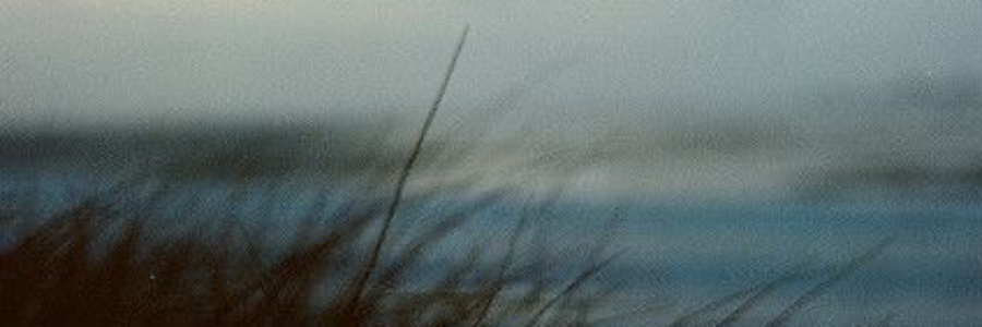 Cover image for post Adventure., by adm