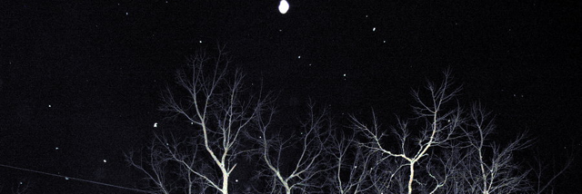 Cover image for post Fear of the dark, by GentaBicaj