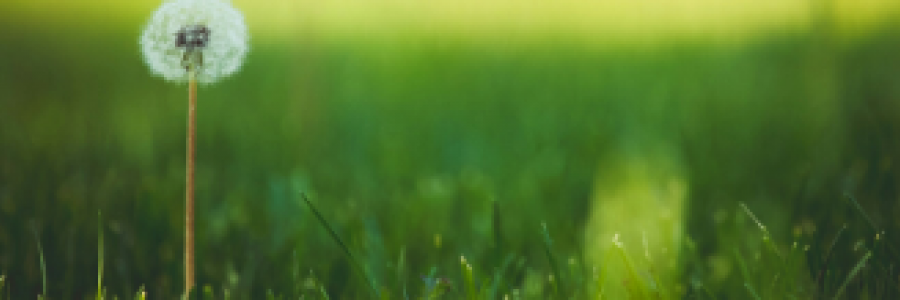 Cover image for post Picturesque, by 2Bamboopanda