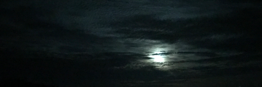 Cover image for post Luna’s lament, by msuri