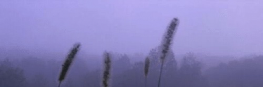 Cover image for post Blue., by Misplacedpoems