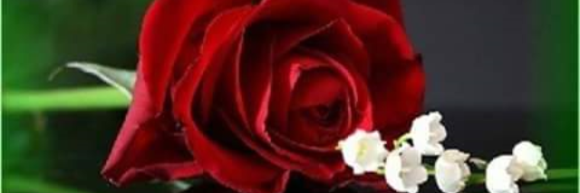 Cover image for post Fear of Dying, by Alpha