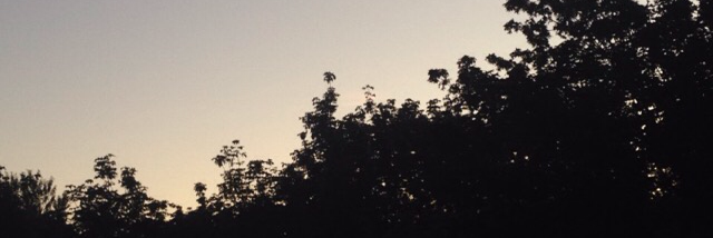 Cover image for post Updates, by autumn