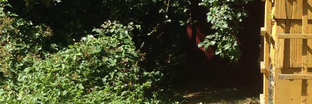 Cover image for post sometimes I feel scared, by autumn