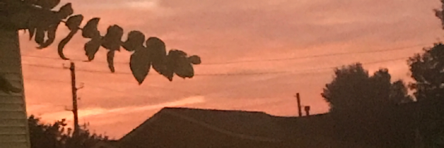 Cover image for post Forever Gone, by Rev_Frenchie