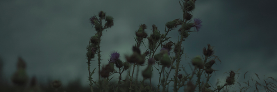 Cover image for post Monochrome, by CarpeNoctem