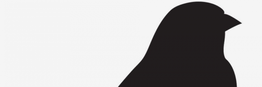 Cover image for post The catcher., by nijahwrites