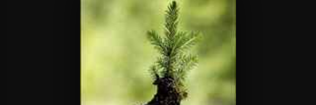 Cover image for post Untitled, by Gymnastics