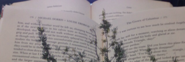 Cover image for post Illusion, by iAngelNin