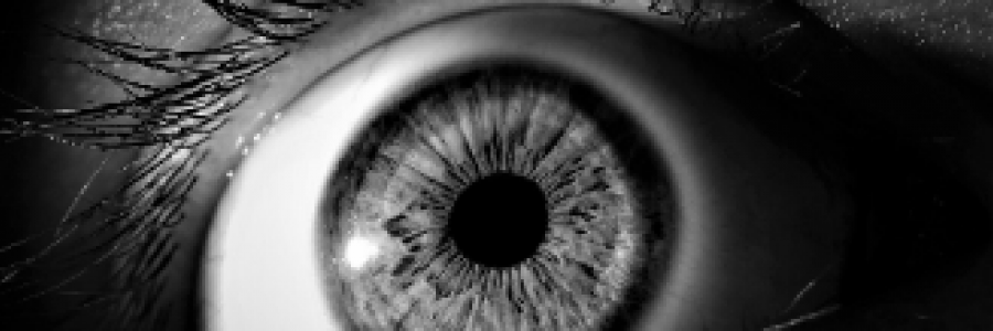 Cover image for post Strangers, by 2Bamboopanda