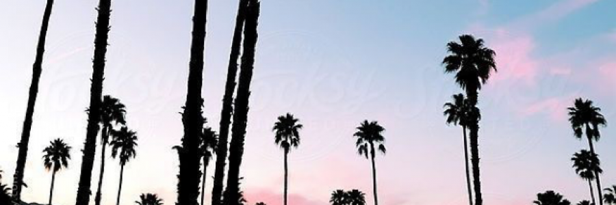 Cover image for post Mind Free, by PoeticThink