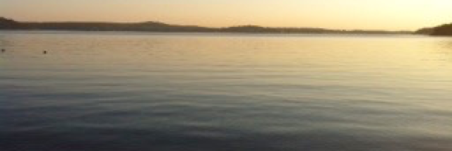 Cover image for post I wonder..., by Mel03