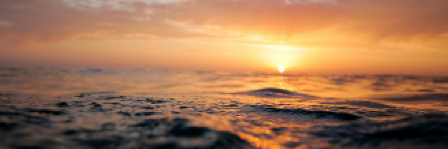 Cover image for post Untitled, by msrizza