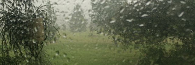 Cover image for post Sorry, I Cheated, by Rev_Frenchie