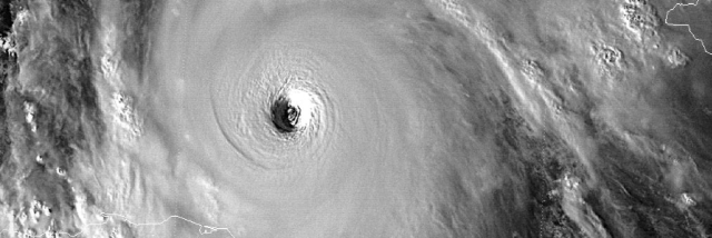 Cover image for post grey, by paintingflowers