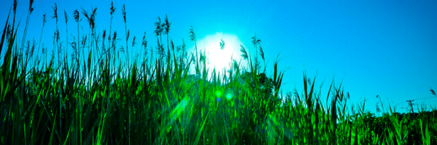 Cover image for post Safety Bubble, by Ken_W_Writer