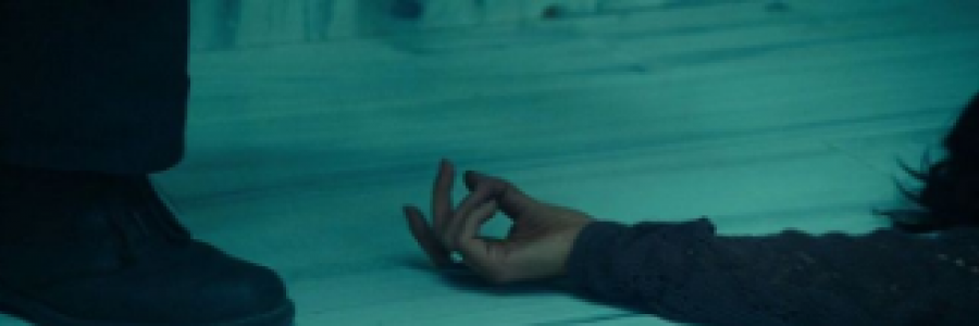 Cover image for post Hidden, by Tracy