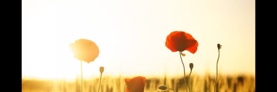 Cover image for post Things change, by LexLuthor913