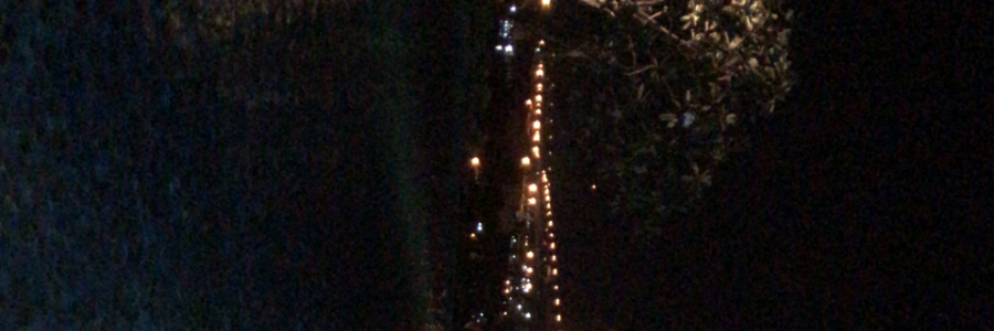 Cover image for post In Hindsight, by msuri