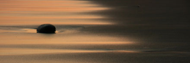 Cover image for post Gray, by felipeandres