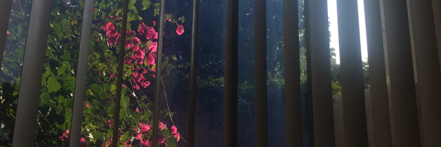 Cover image for post Writing for the Quantum Age, by quantumalex