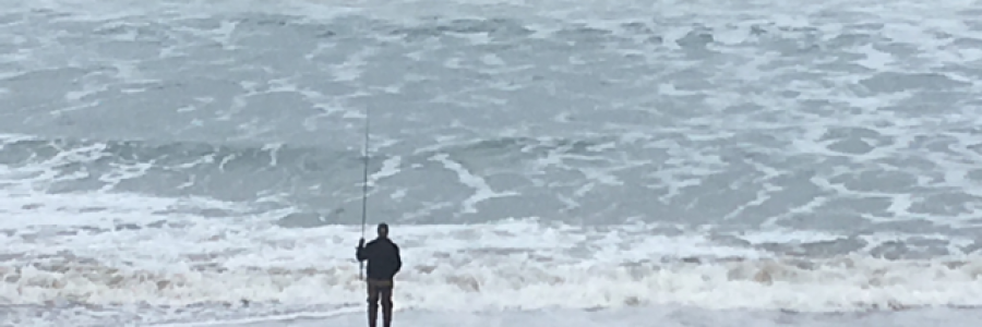 Cover image for post Subduction Seas, by Roseberry