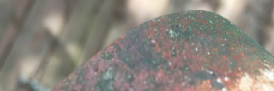 Cover image for post Do I dare?, by atexasmist