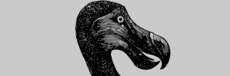 Cover image for post An Uncontrolled Sport, by Bird_Watcher