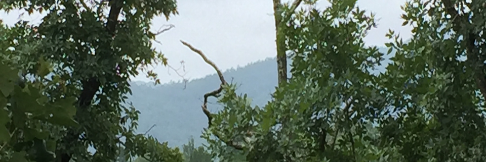 Cover image for post I miss him, by atexasmist