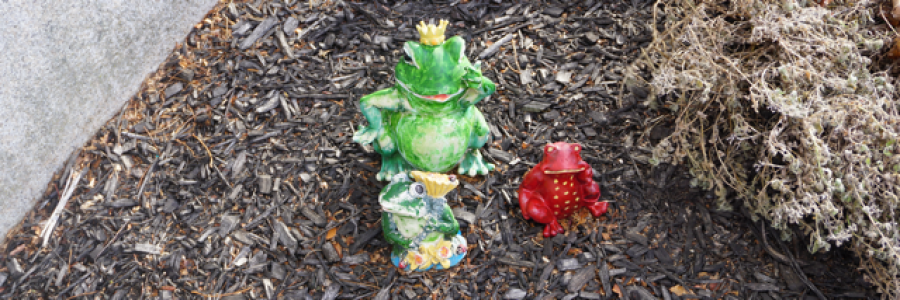 Cover image for post The Frog's Prince, by Ken_W_Writer