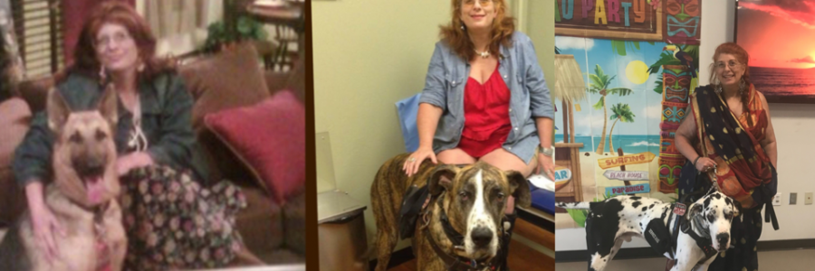 Cover image for post Just the facts, by Vyxyn