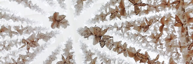 Cover image for post Dreaming Still, by DMYope