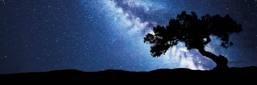 Cover image for post Darkness, by Suncent