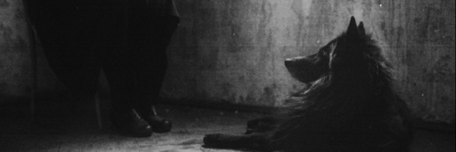 Cover image for post Glass animals, by anarosewood